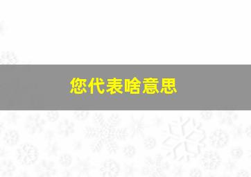 您代表啥意思