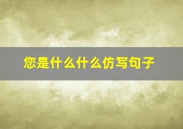 您是什么什么仿写句子