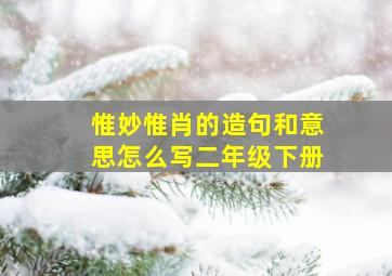 惟妙惟肖的造句和意思怎么写二年级下册