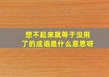 想不起来就等于没用了的成语是什么意思呀