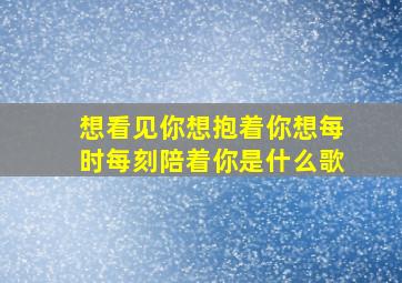 想看见你想抱着你想每时每刻陪着你是什么歌