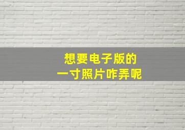 想要电子版的一寸照片咋弄呢