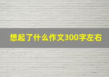 想起了什么作文300字左右