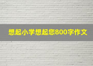 想起小学想起您800字作文