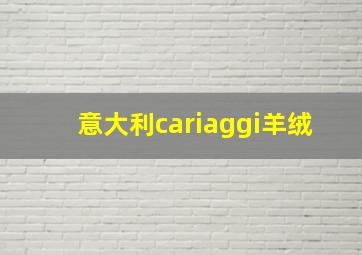 意大利cariaggi羊绒