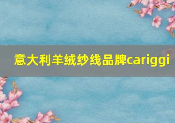 意大利羊绒纱线品牌cariggi