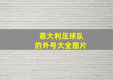 意大利足球队的外号大全图片