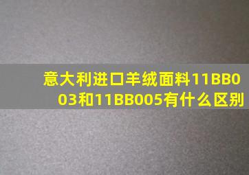 意大利进口羊绒面料11BB003和11BB005有什么区别