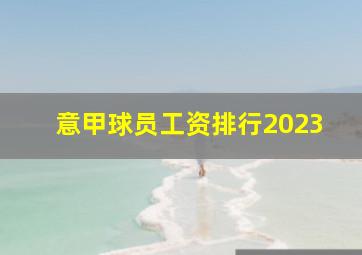 意甲球员工资排行2023