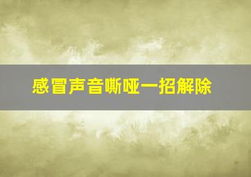 感冒声音嘶哑一招解除