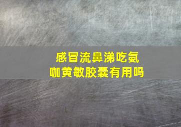 感冒流鼻涕吃氨咖黄敏胶囊有用吗