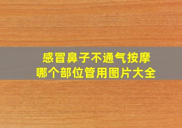 感冒鼻子不通气按摩哪个部位管用图片大全