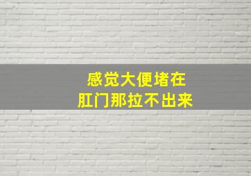 感觉大便堵在肛门那拉不出来