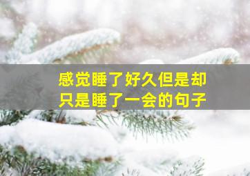 感觉睡了好久但是却只是睡了一会的句子