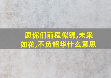 愿你们前程似锦,未来如花,不负韶华什么意思