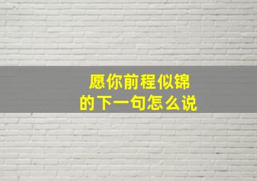 愿你前程似锦的下一句怎么说