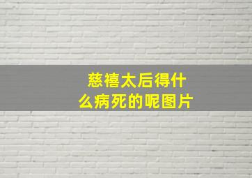 慈禧太后得什么病死的呢图片