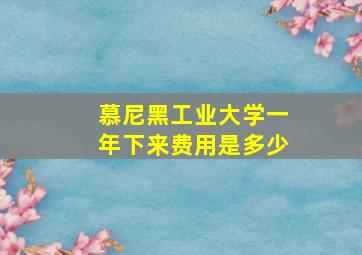 慕尼黑工业大学一年下来费用是多少