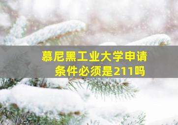 慕尼黑工业大学申请条件必须是211吗