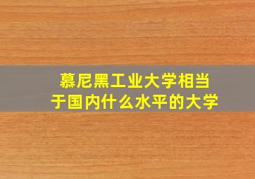 慕尼黑工业大学相当于国内什么水平的大学