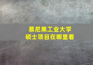 慕尼黑工业大学硕士项目在哪里看