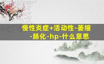 慢性炎症+活动性-萎缩-肠化-hp-什么意思