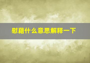 慰藉什么意思解释一下