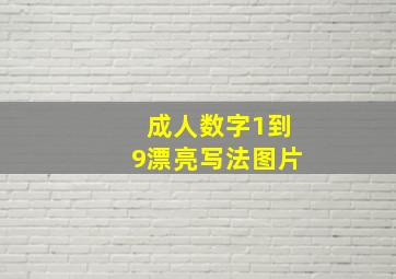 成人数字1到9漂亮写法图片