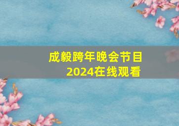 成毅跨年晚会节目2024在线观看