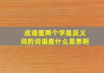 成语里两个字是反义词的词语是什么意思啊