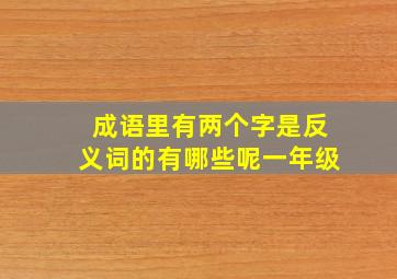 成语里有两个字是反义词的有哪些呢一年级