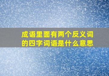 成语里面有两个反义词的四字词语是什么意思