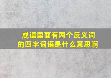 成语里面有两个反义词的四字词语是什么意思啊