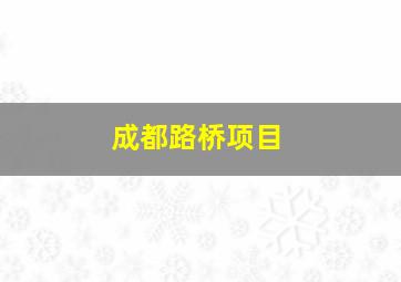 成都路桥项目