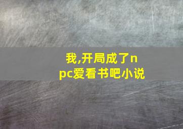 我,开局成了npc爱看书吧小说