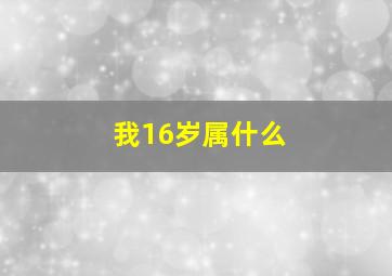 我16岁属什么