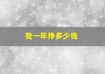 我一年挣多少钱