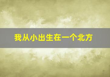 我从小出生在一个北方