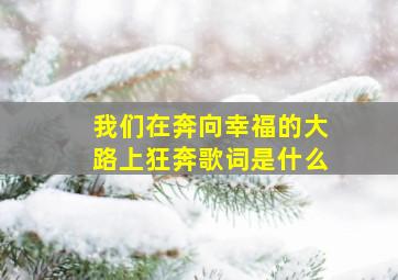 我们在奔向幸福的大路上狂奔歌词是什么