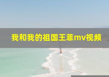 我和我的祖国王菲mv视频