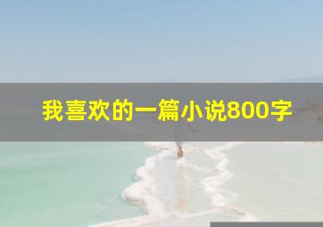 我喜欢的一篇小说800字