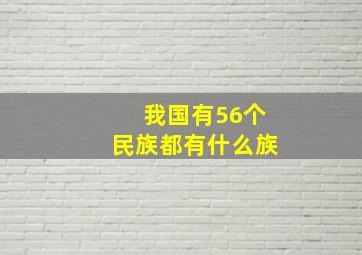 我国有56个民族都有什么族