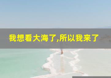 我想看大海了,所以我来了