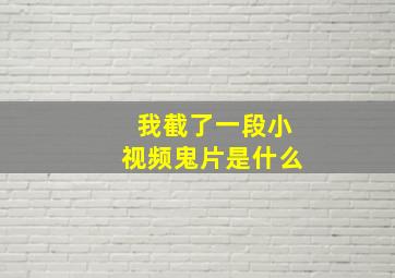 我截了一段小视频鬼片是什么