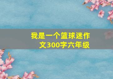 我是一个篮球迷作文300字六年级