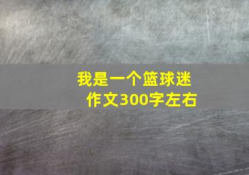 我是一个篮球迷作文300字左右