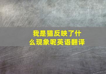 我是猫反映了什么现象呢英语翻译