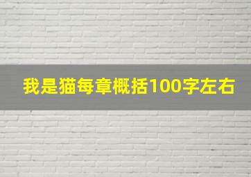 我是猫每章概括100字左右