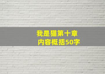 我是猫第十章内容概括50字