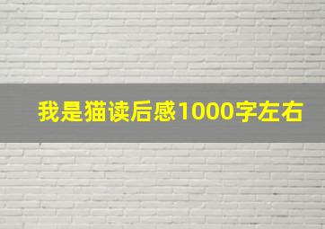 我是猫读后感1000字左右